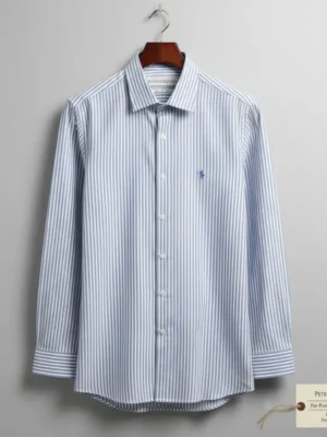 Men Blue Striped Regular Fit Cotton Formal Shirt
