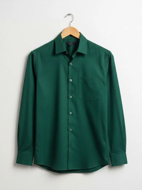 Men Slim Fit Solid Classic Collar Formal Shirt